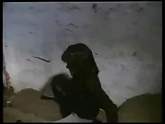 পুশ-আপ বা বাংলা দেশের নেকেড ভিডিও স্কোয়াট