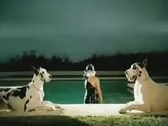 ড্রাইভিং বাংলা নেকেড সেক্স ভিডিও মিস সিলভার